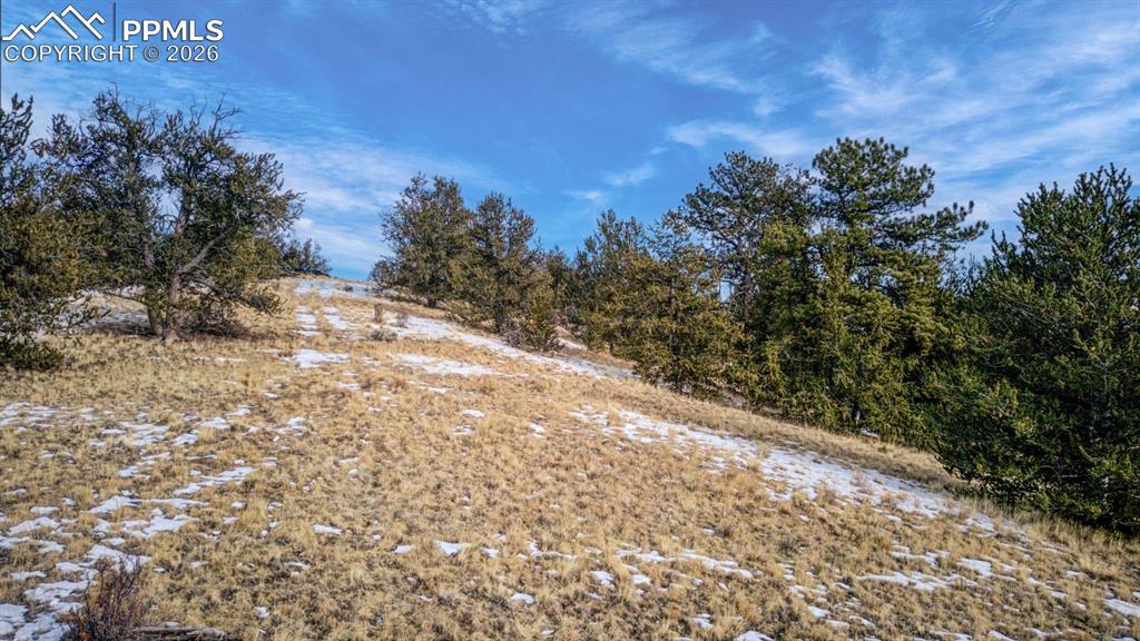 Image 4 of 12: View of local wilderness