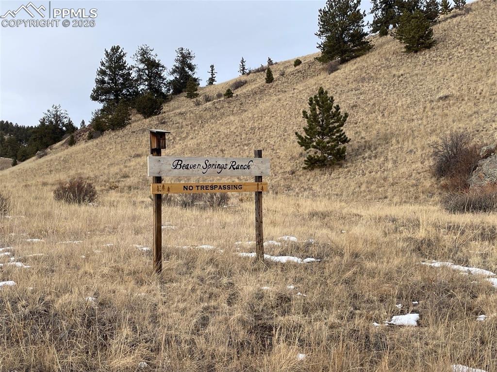 Image 8 of 12: View of details