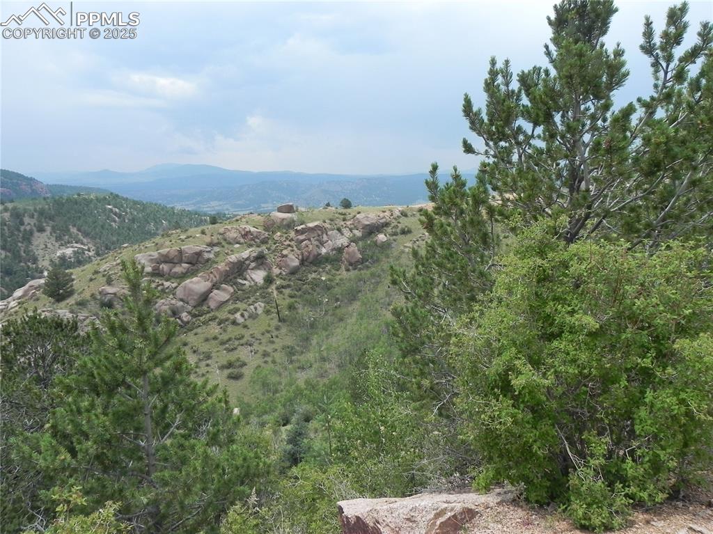 Caption: View