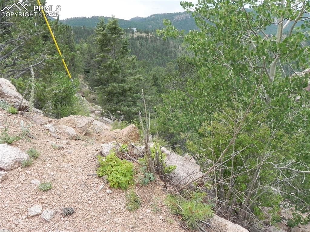 Image 3 of 10: Other