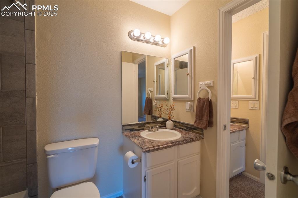 Image 31 of 42: Lower level bathroom with a textured wall and vanity