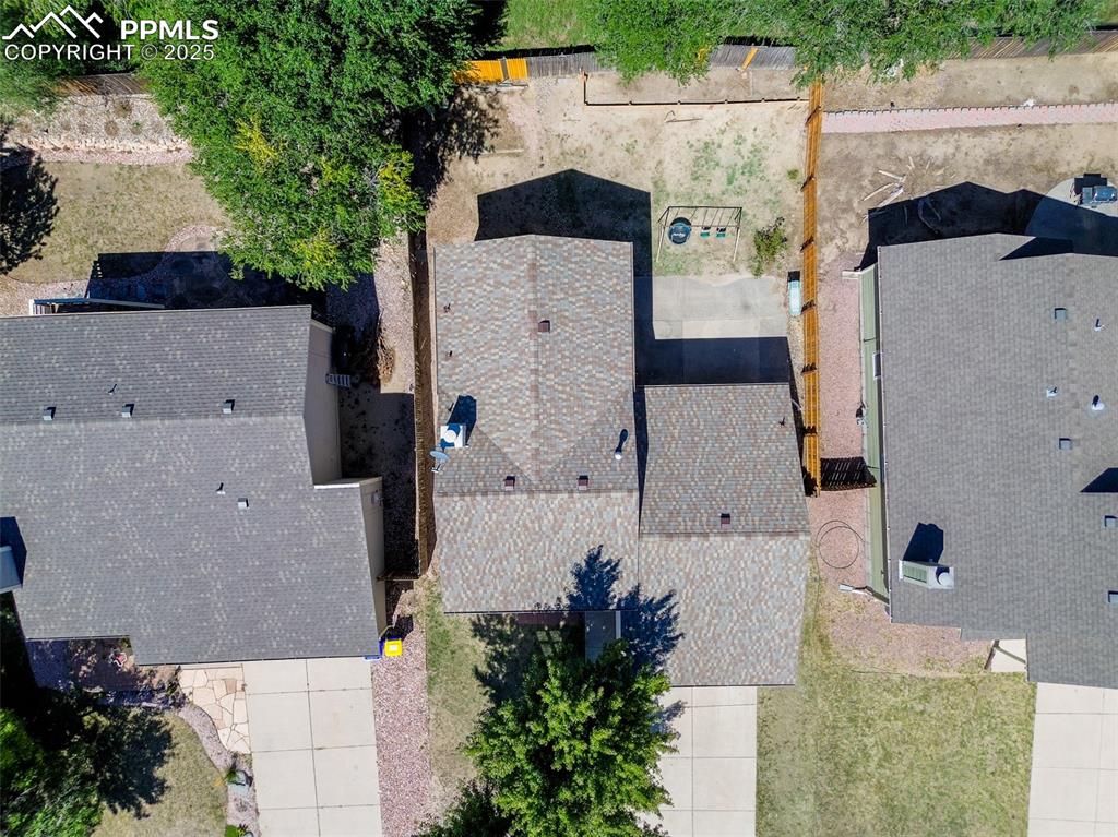 Image 40 of 42: Bird