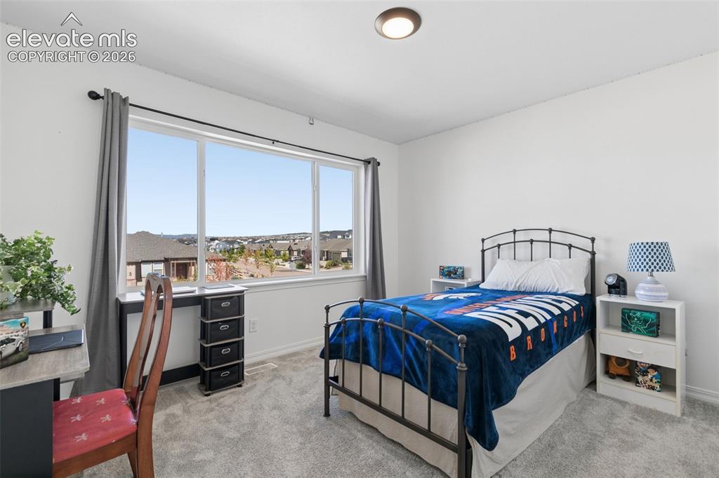 Image 16 of 26: Light gray carpeting, white walls, and a large window with white trim