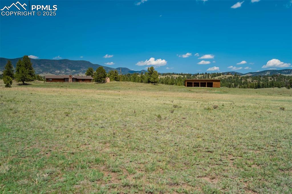 Image 41 of 50: Yard