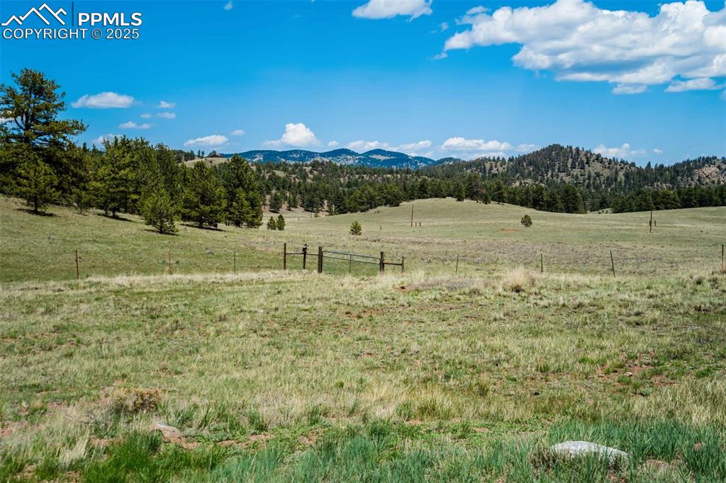 Image 44 of 50: View