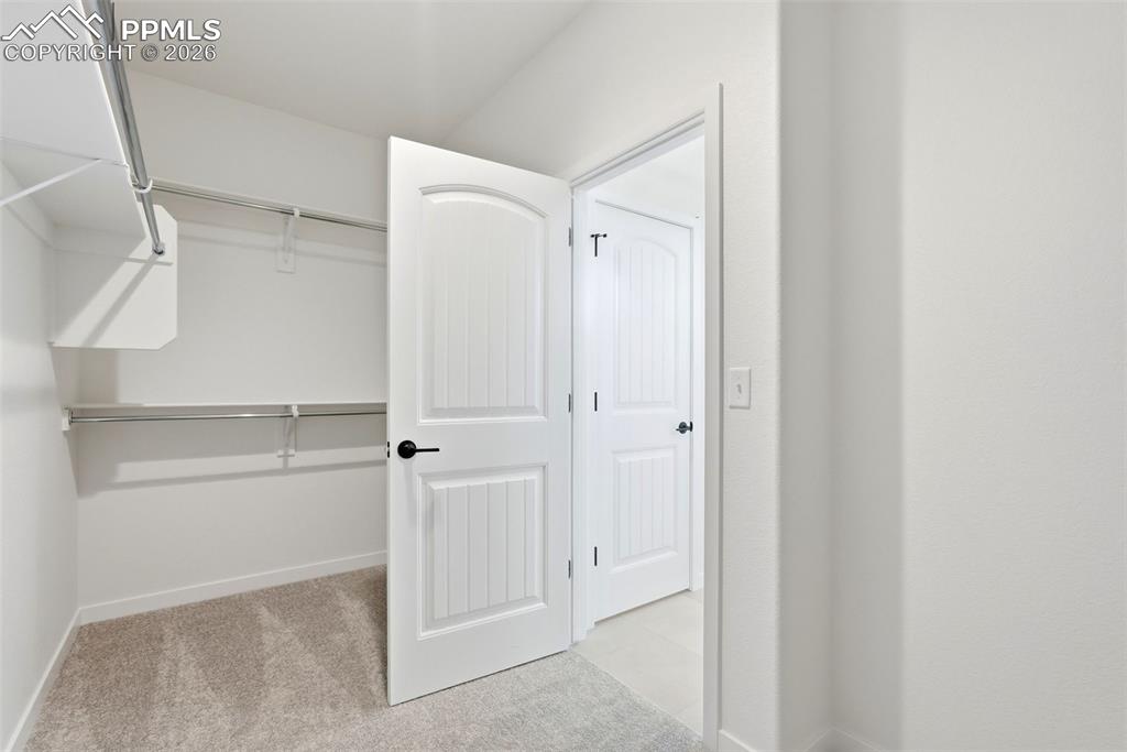 Image 17 of 28: Primary