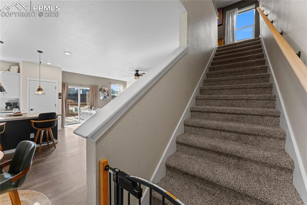 Image 16 of 43: Other