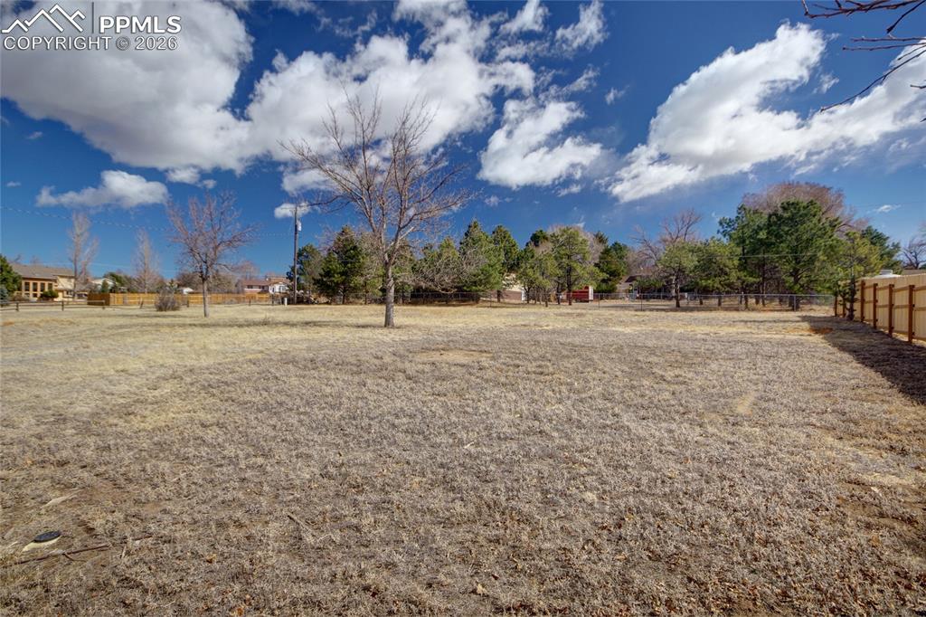 Image 38 of 50: Yard