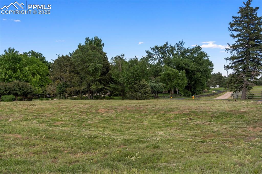 Image 12 of 19: No Description Available