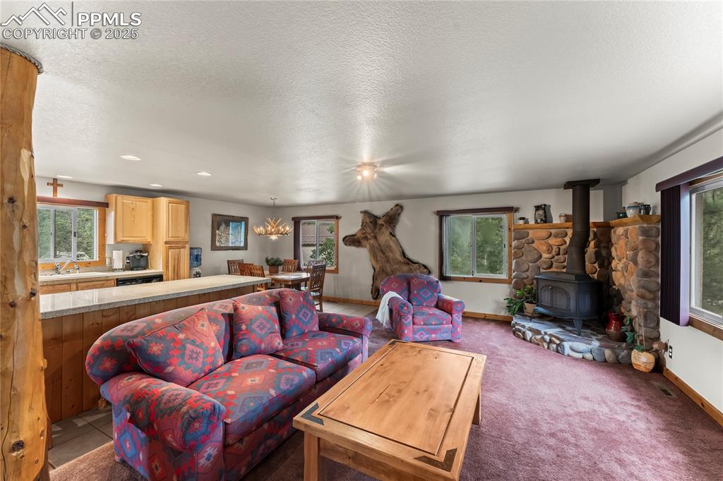 Image 18 of 42: Ultra plush padded carpet in a pet free home