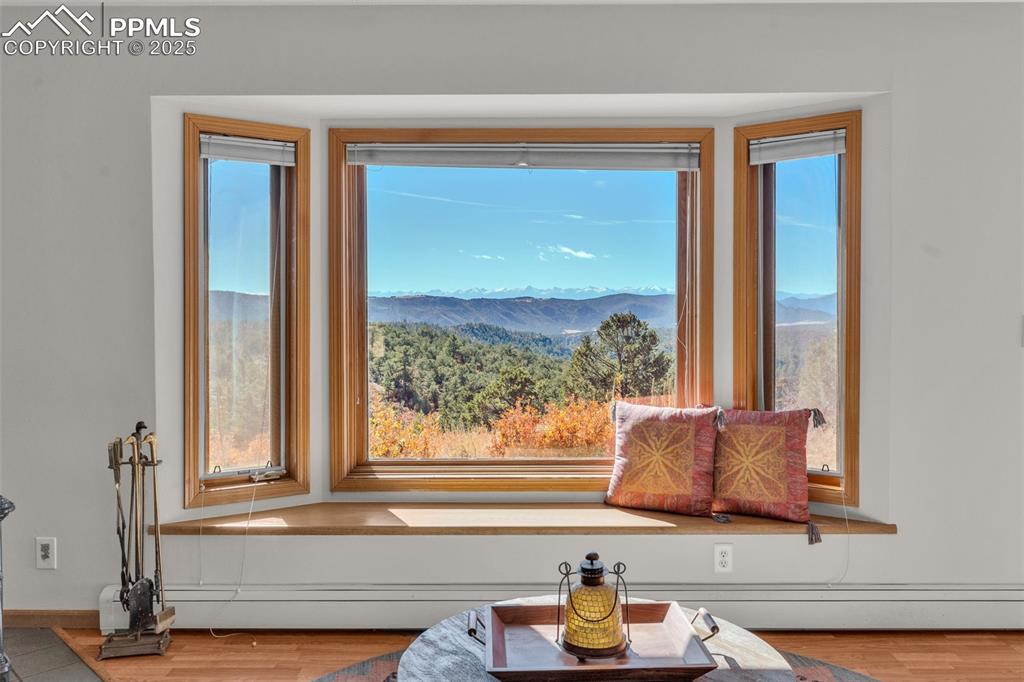 Image 11 of 50: Detailed view of wood finished floors and a baseboard heating unit