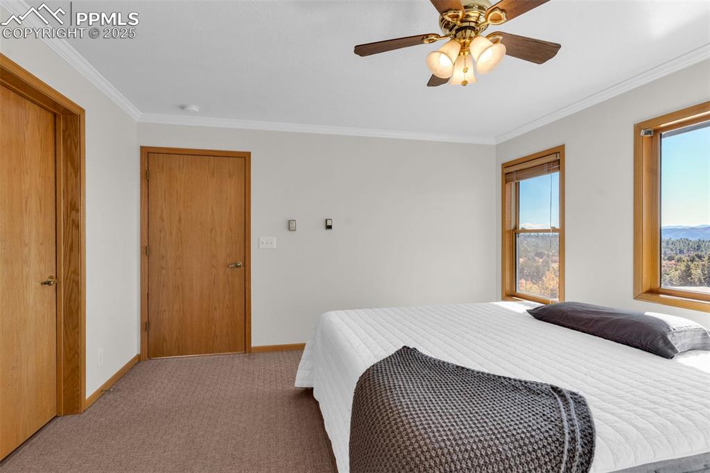 Image 19 of 50: Carpeted bedroom featuring ornamental molding and ceiling fan