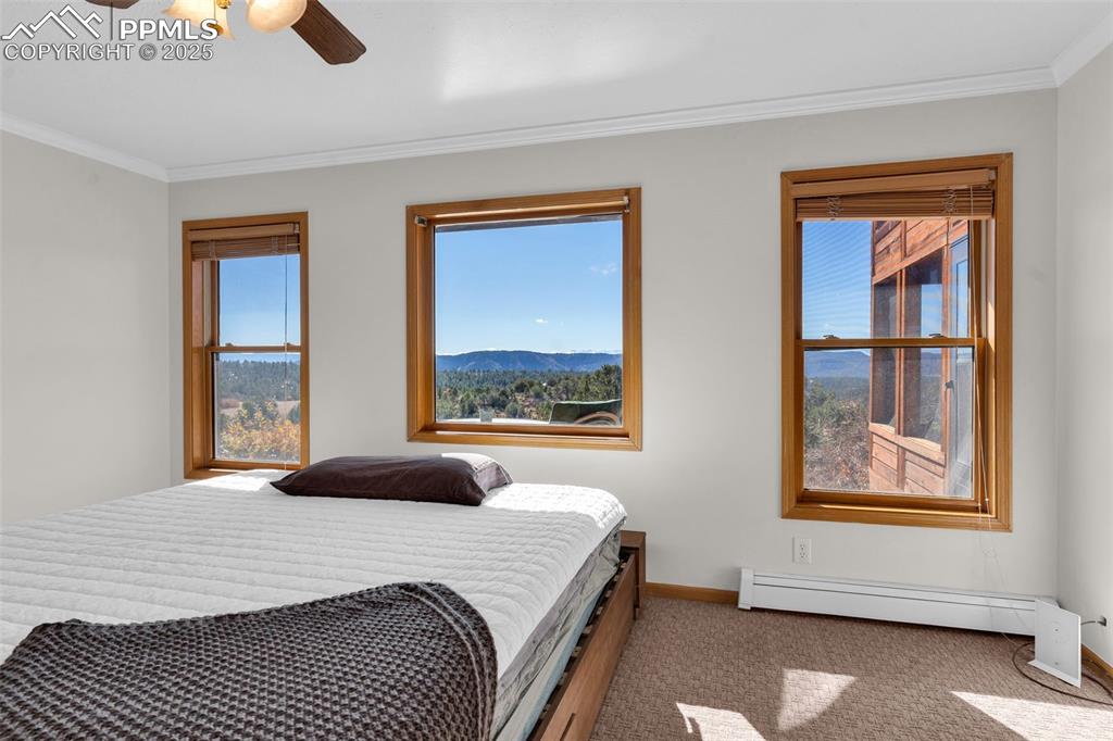 Image 20 of 50: Bedroom featuring a mountain view, ornamental molding, carpet, a ceiling fa