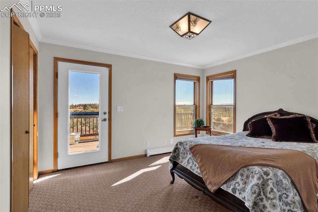 Image 24 of 50: Carpeted bedroom with ornamental molding, baseboard heating, and access to 