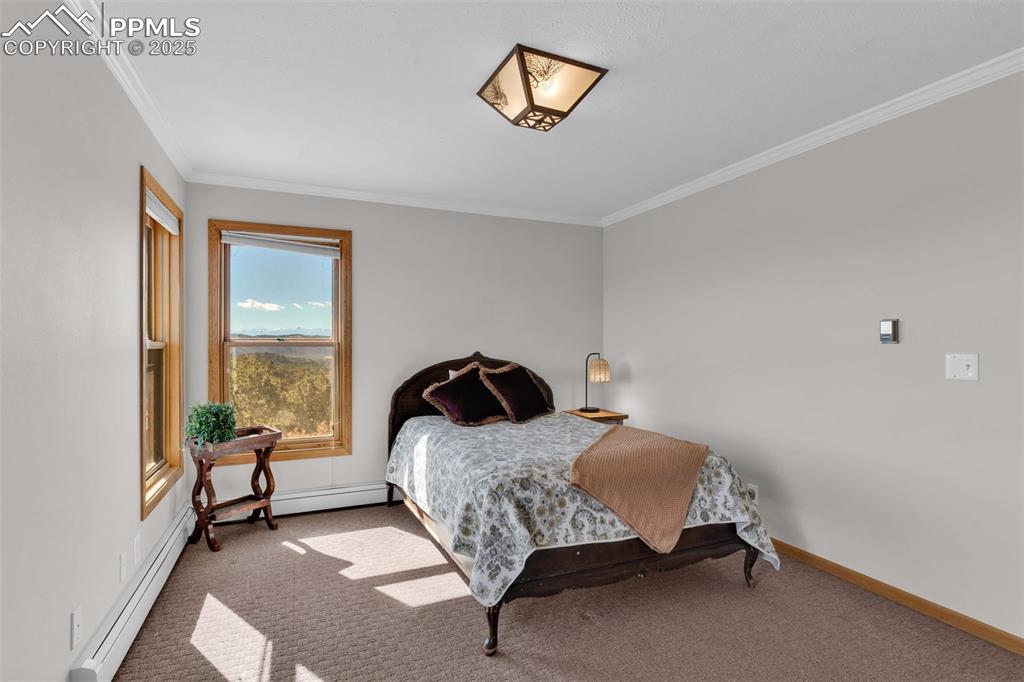 Image 25 of 50: Bedroom with ornamental molding, carpet floors, and a baseboard radiator