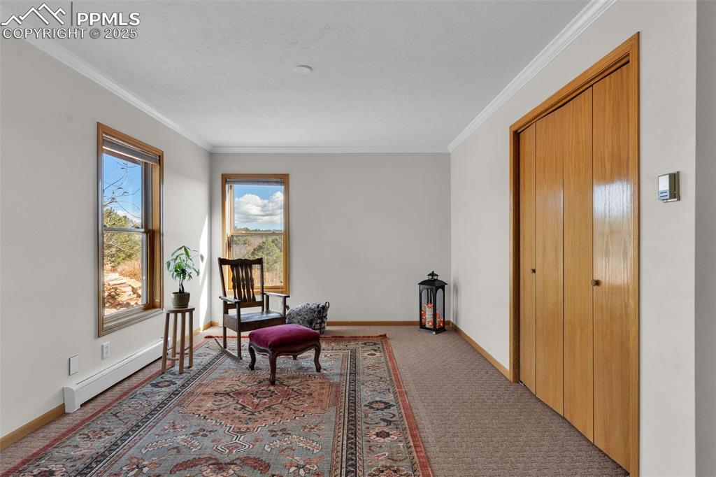 Image 26 of 50: Bedroom/Office crown molding, carpet floors, and a baseboard heating unit
