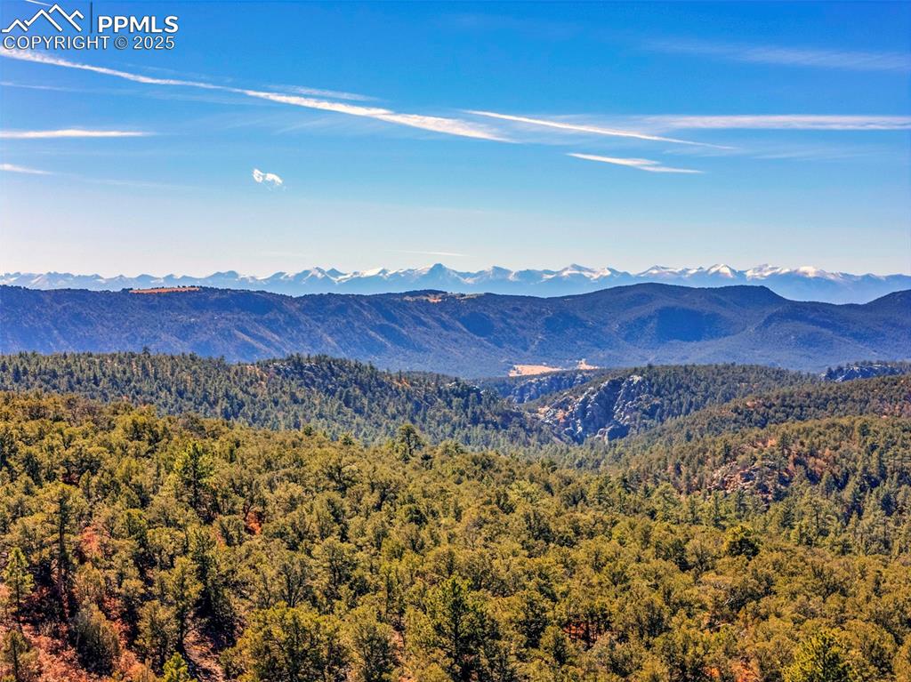 Image 41 of 50: View of mountain backdrop with a forest