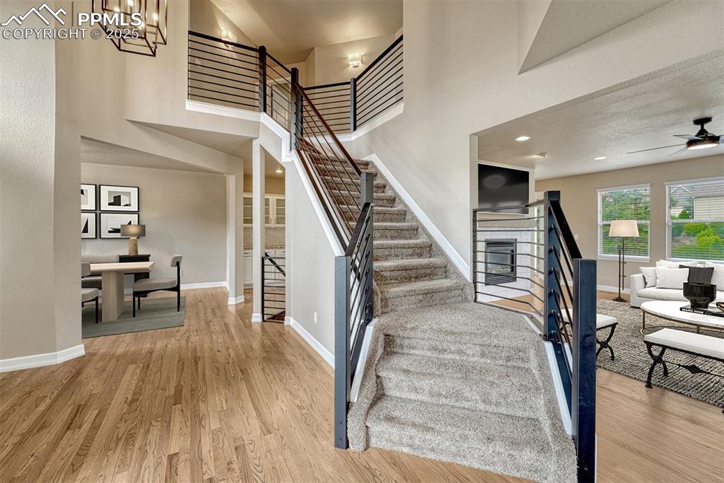 Image 8 of 49: Other