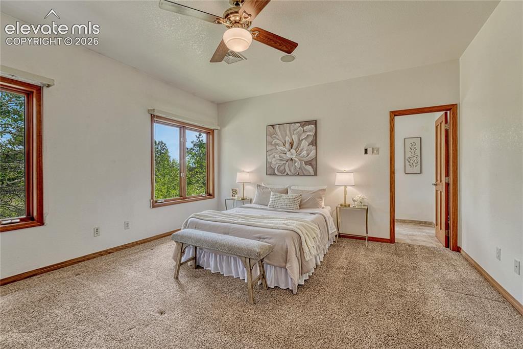 Image 5 of 50: Primary bedroom is on the main level with adjoining bath.