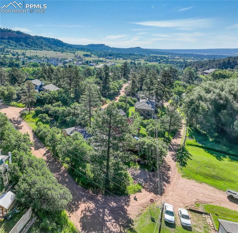 Image 41 of 43: The house is tucked away behind the trees.