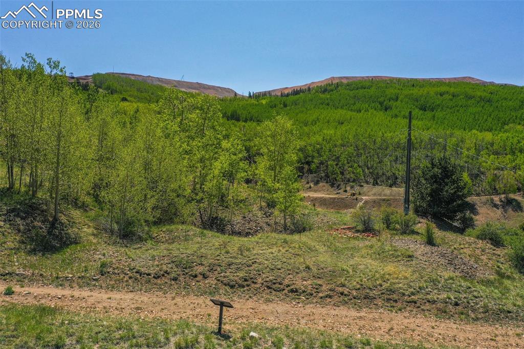 Image 11 of 16: View