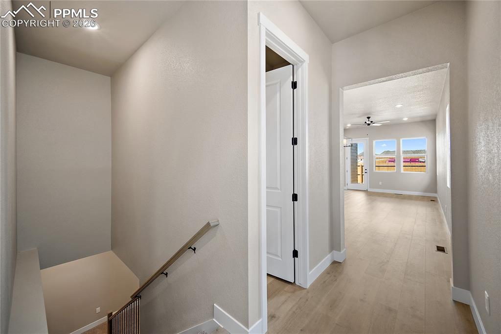 Image 4 of 32: Other