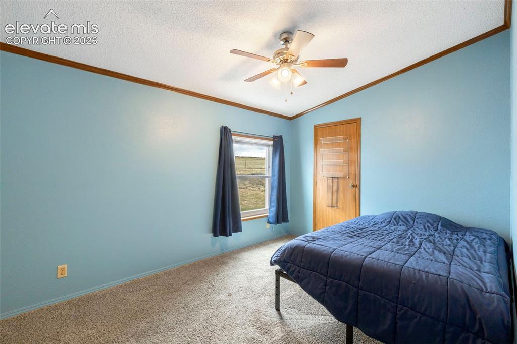 Image 22 of 38: Room featuring light blue walls, wood trim, textured ceiling, and a ceiling