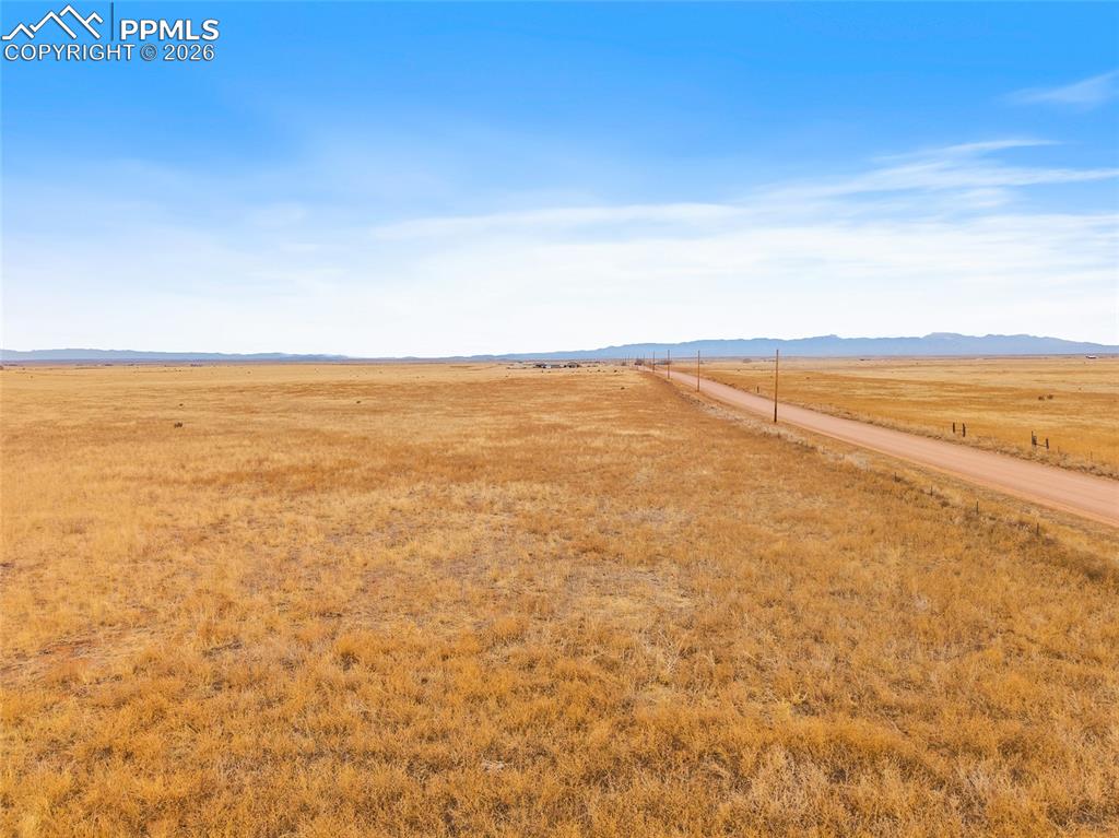 Image 14 of 23: Yard