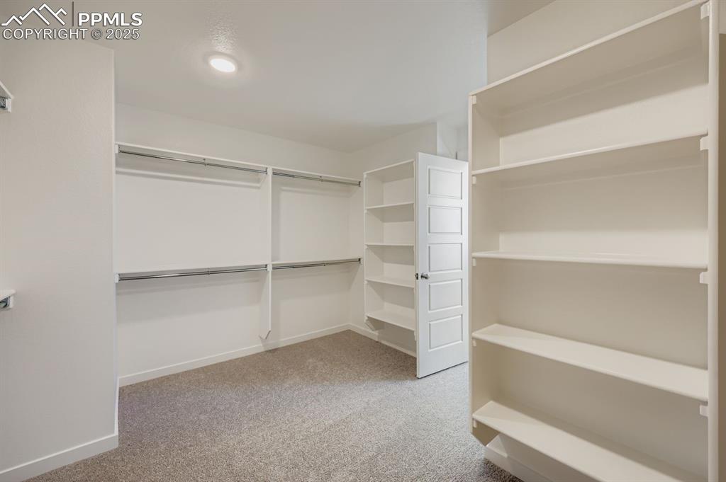 Image 16 of 28: Walk in closet featuring light colored carpet