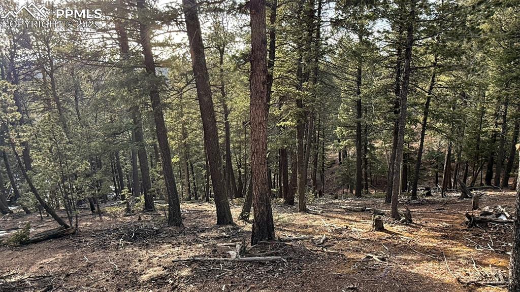 Image 10 of 26: View of landscape with a view of trees