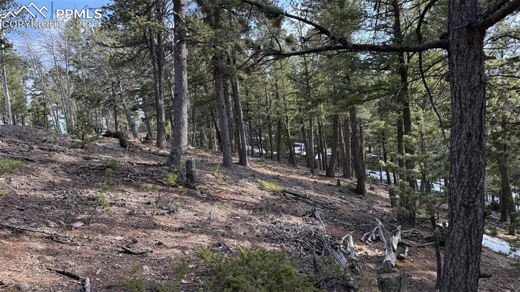 Image 11 of 26: View of nature