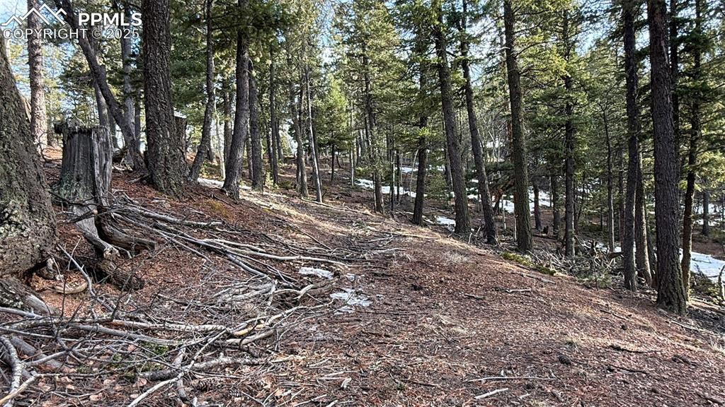 Image 12 of 26: View of landscape