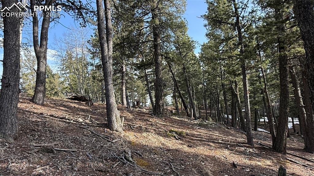 Image 13 of 26: View of landscape