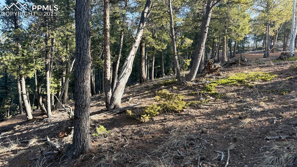 Image 14 of 26: View of nature