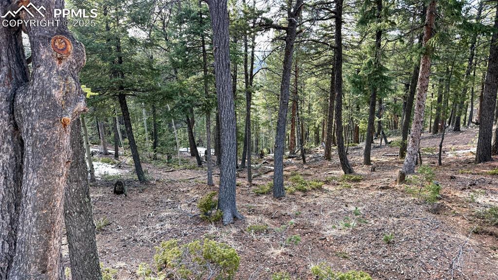 Image 15 of 26: View of landscape featuring a view of trees