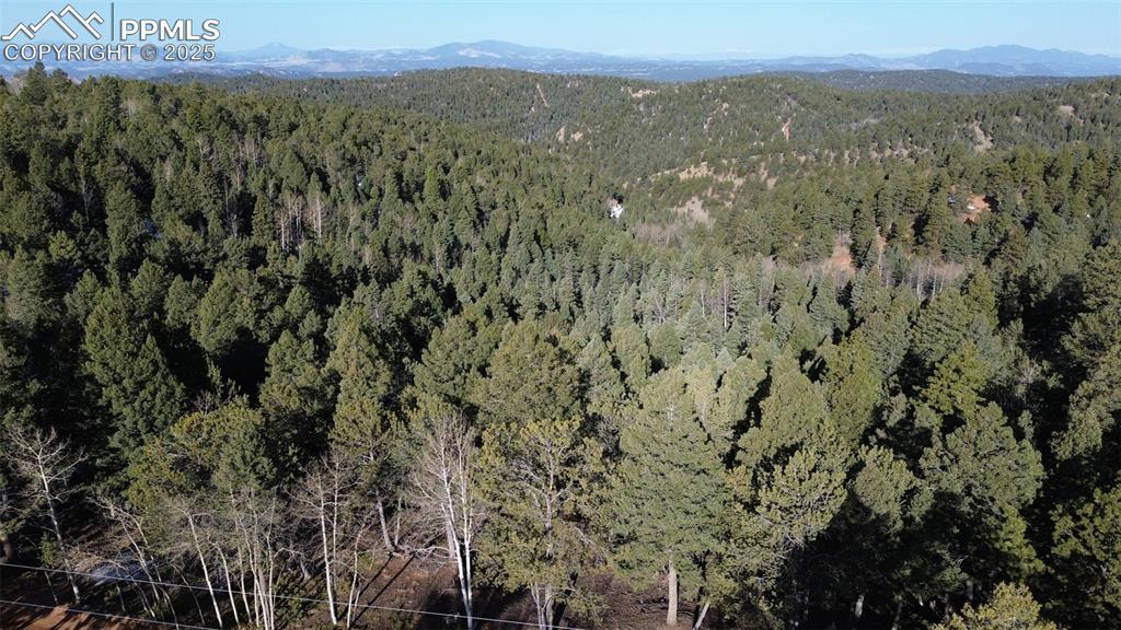 Image 17 of 26: Aerial view with a wooded view and a mountain view