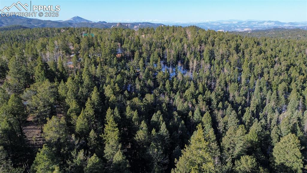 Image 18 of 26: Drone / aerial view with a mountain view and a forest view