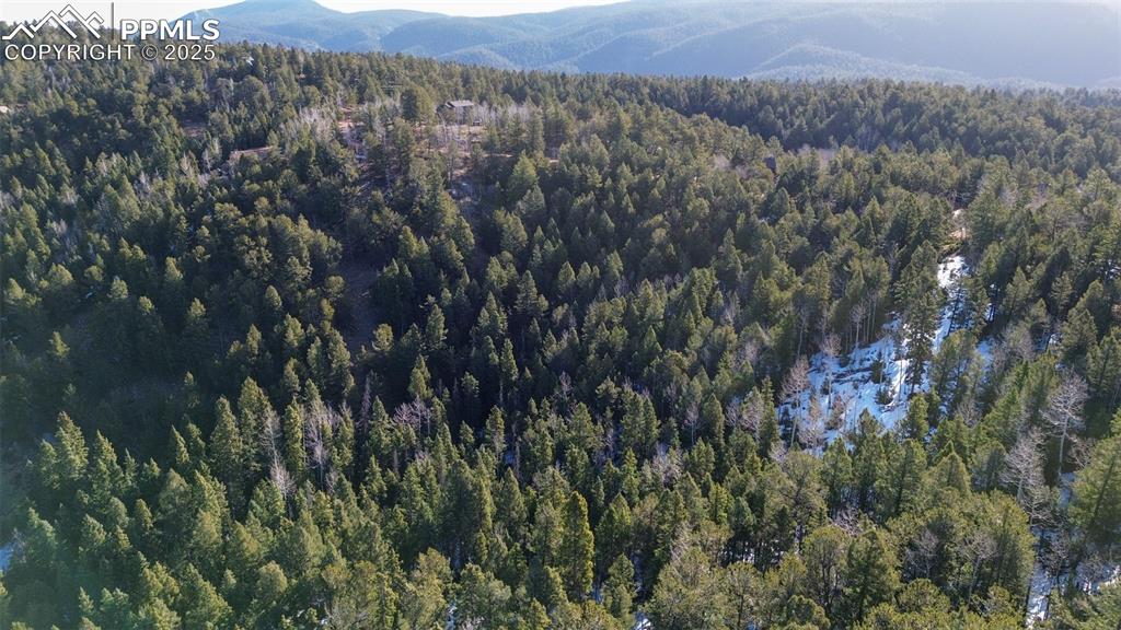 Image 19 of 26: Aerial view featuring a wooded view and a mountain view
