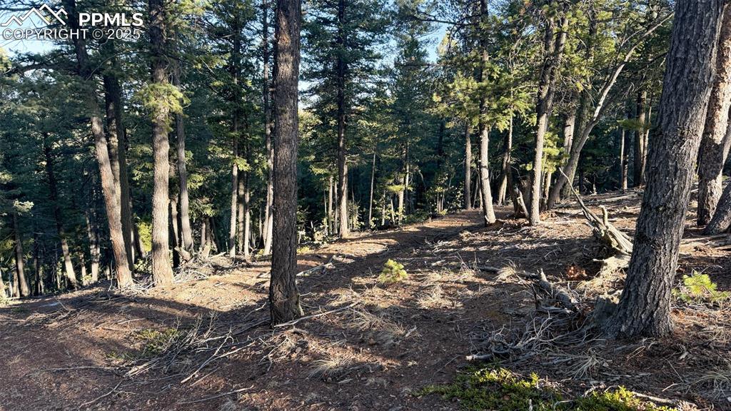 Image 21 of 26: View of nature featuring a forest view