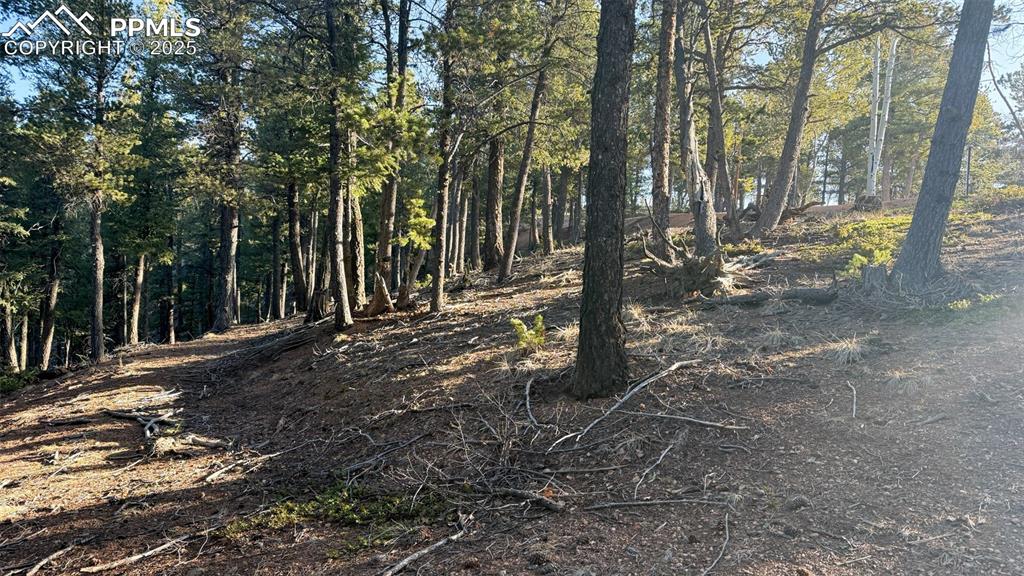 Image 22 of 26: View of nature