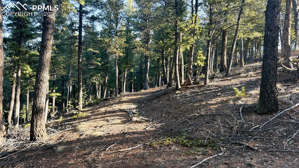 Image 23 of 26: View of landscape with a wooded view