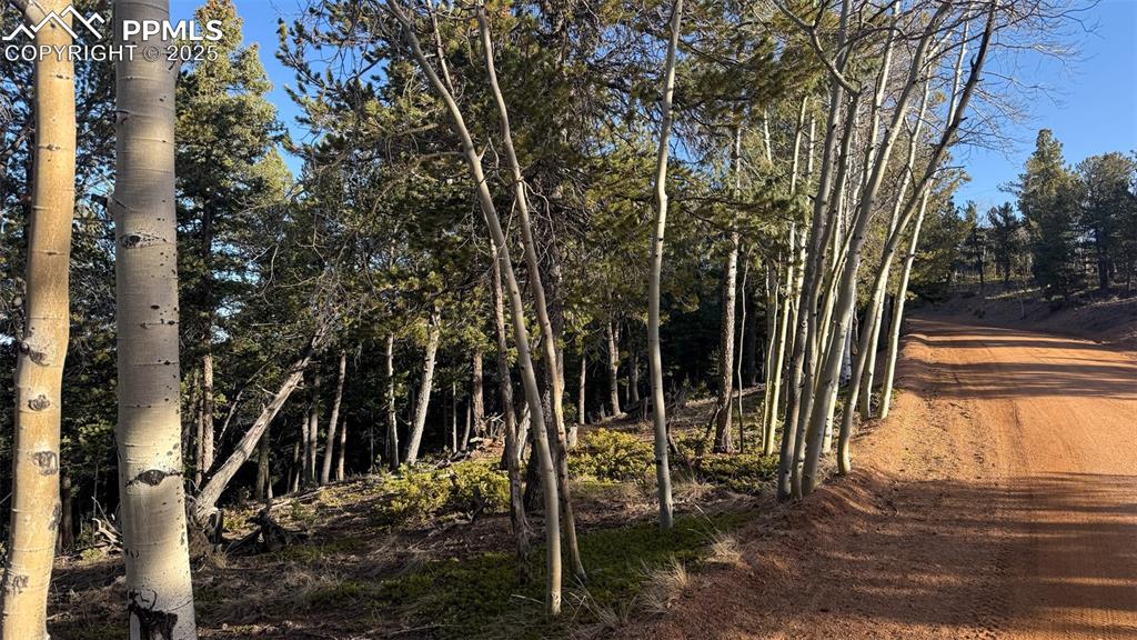 Image 25 of 26: View of landscape