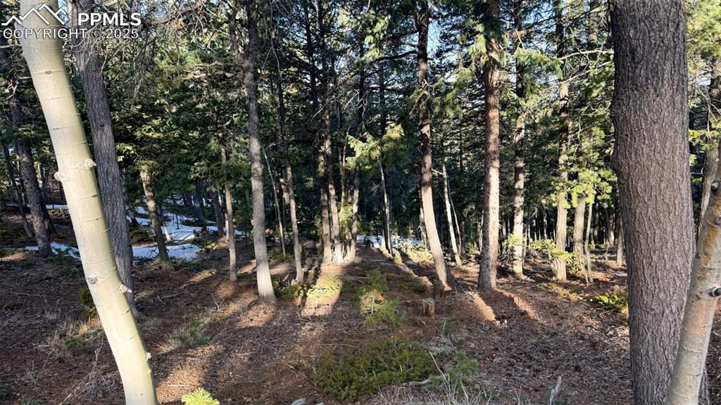 Image 26 of 26: View of landscape