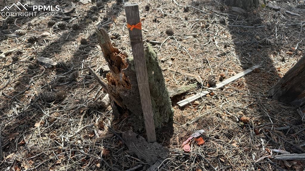 Image 6 of 26: View of exterior details