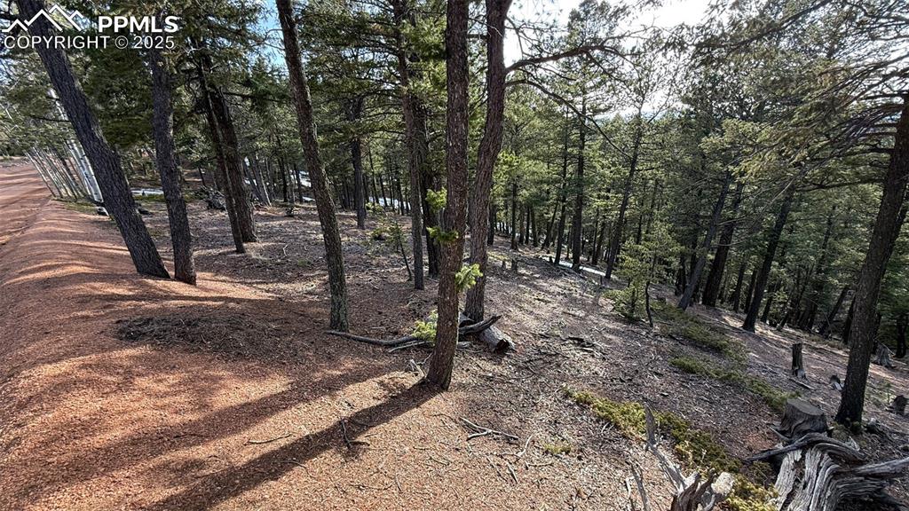 Image 7 of 26: View of landscape