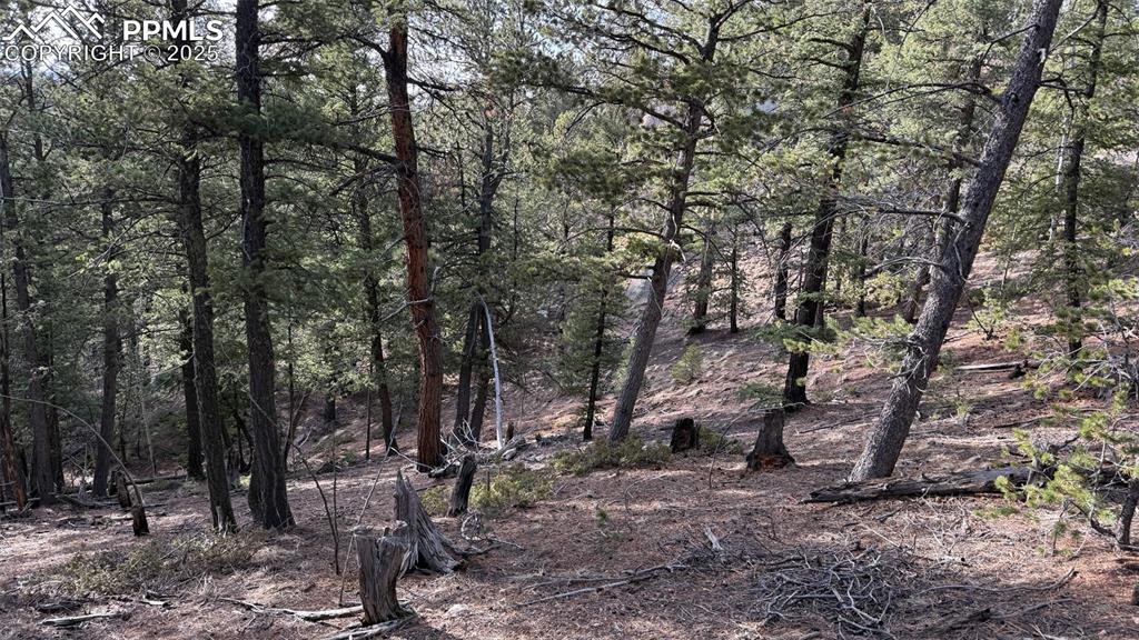 Image 8 of 26: View of nature featuring a wooded view
