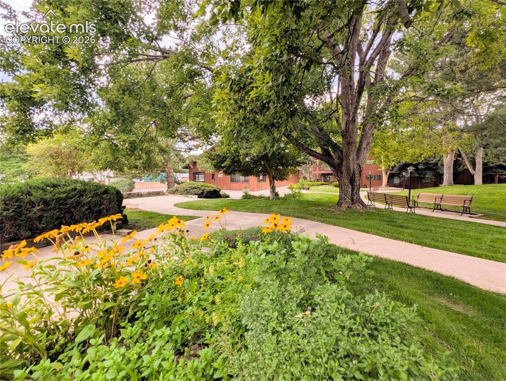 Image 14 of 29: Community
