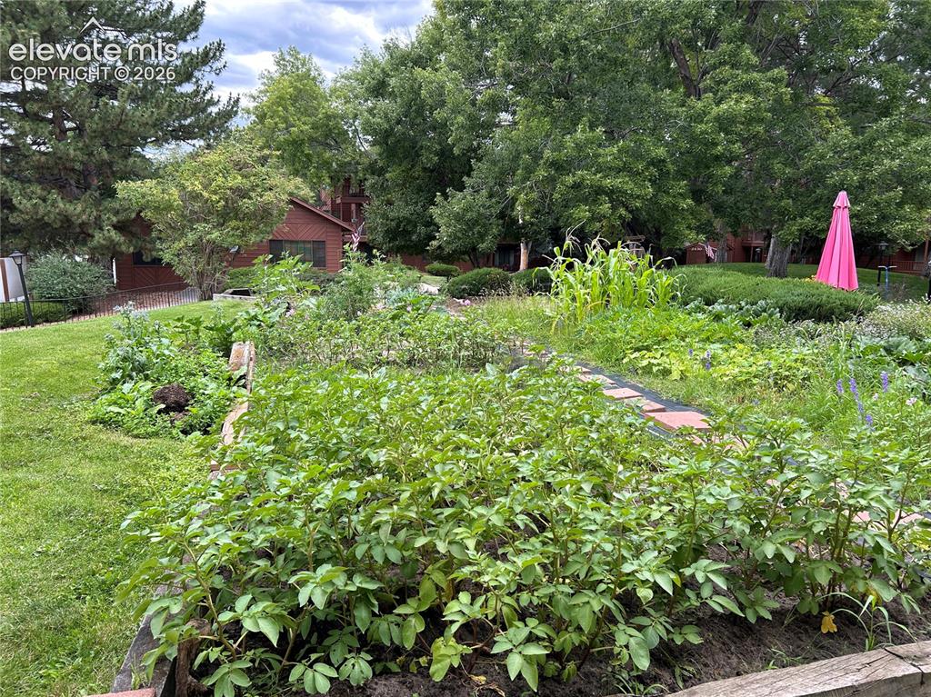 Image 15 of 29: Beautiful community garden