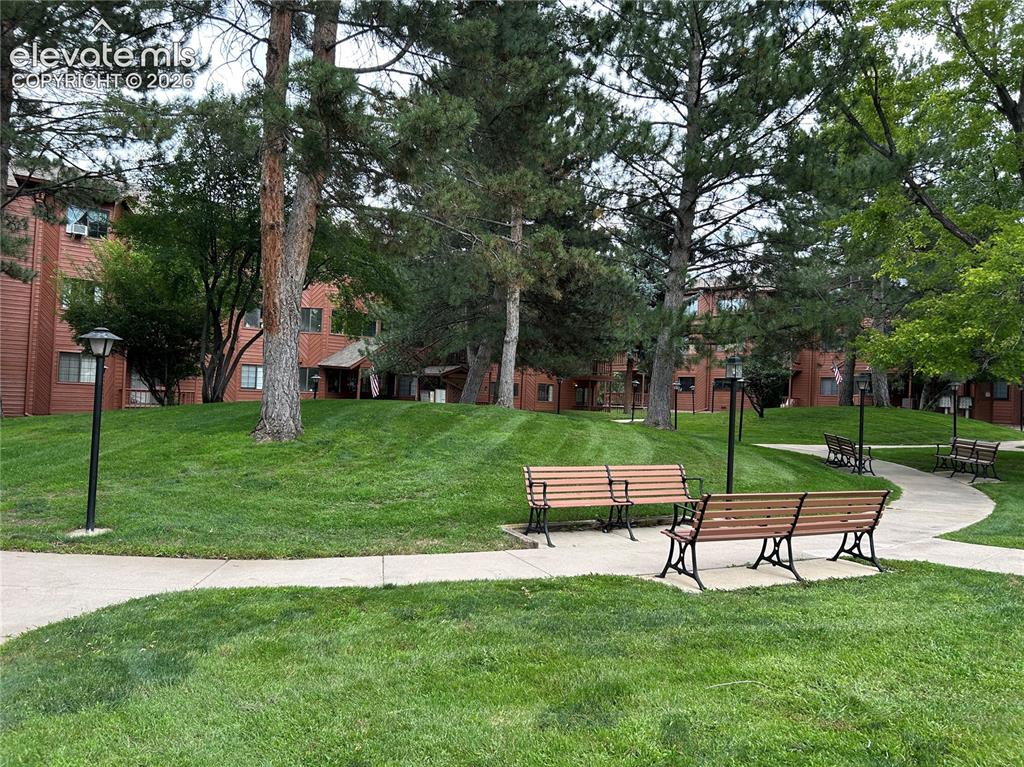 Image 16 of 29: Community