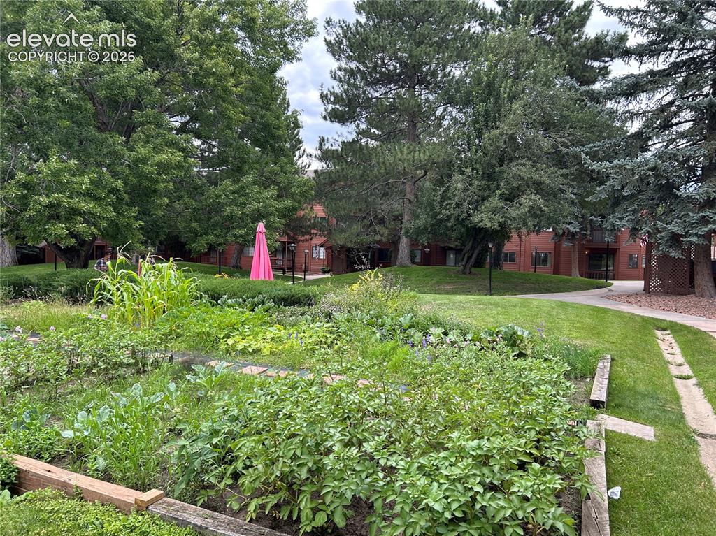 Image 18 of 29: Beautiful community garden